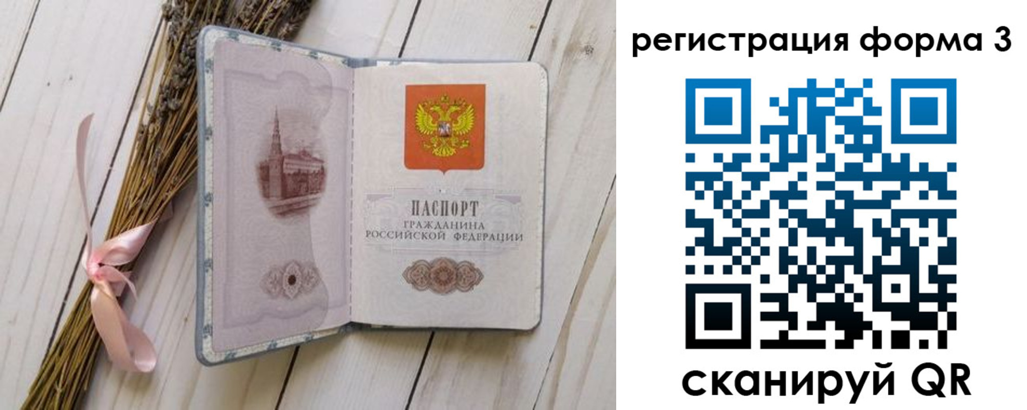 прописка поиск в Светлогорске