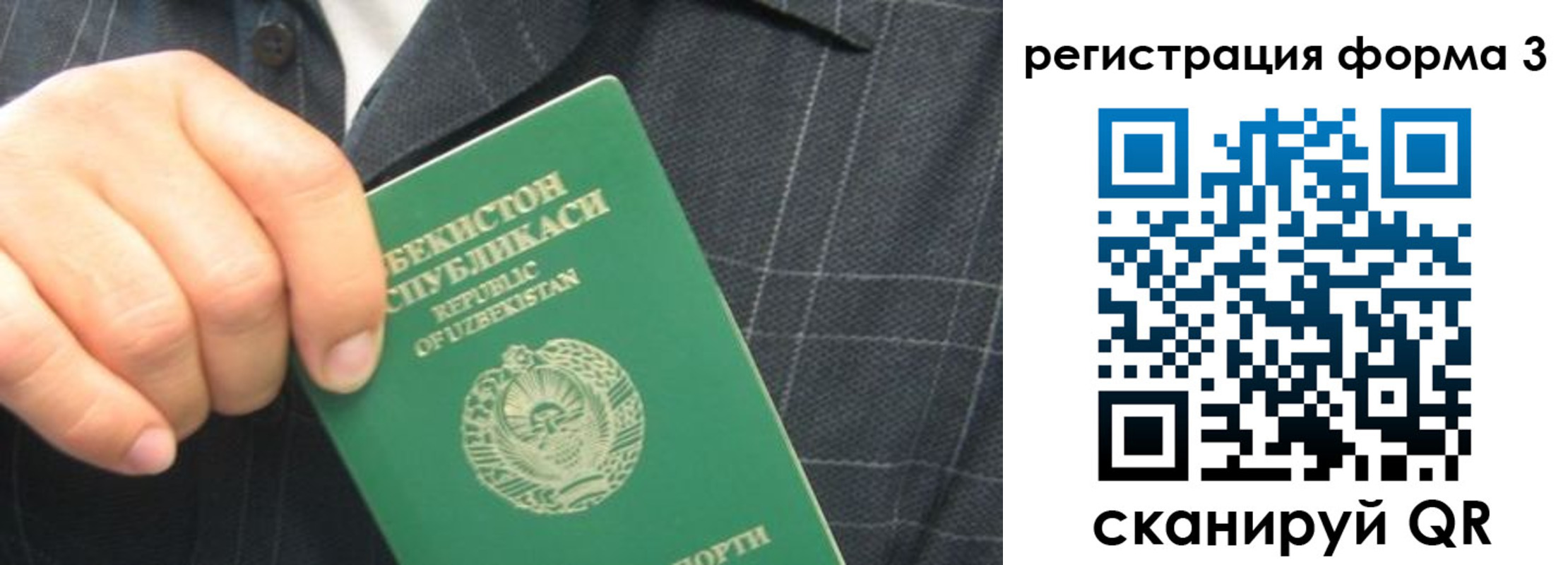 прописка от собственника в Светлогорске